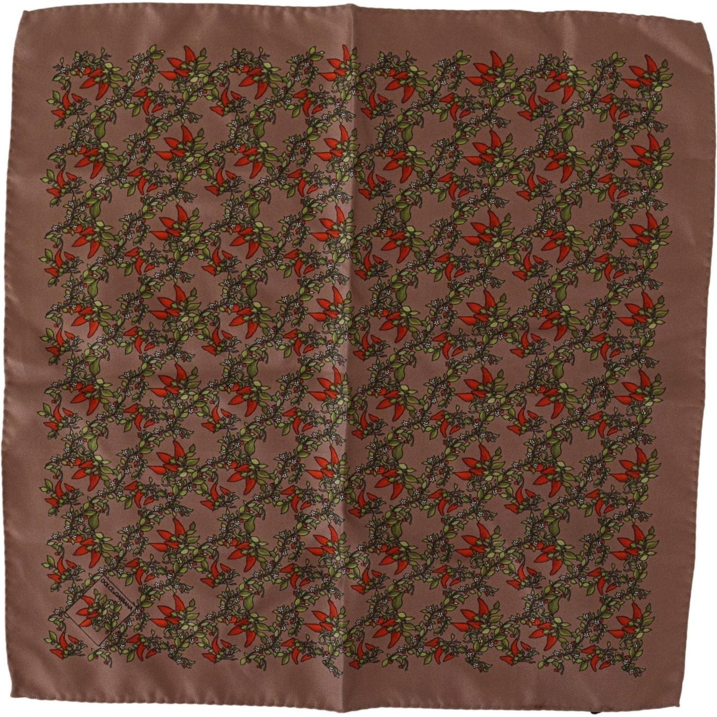 Dolce & Gabbana Brown Carrots Print Silk Handkerchief