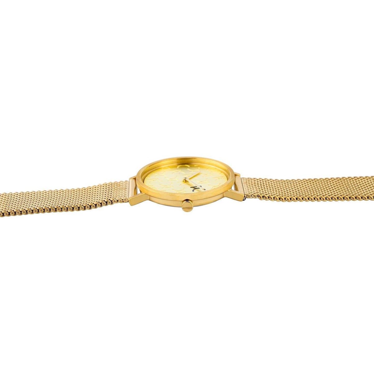 Pierre Cardin Gold Women Watch Pierre Cardin