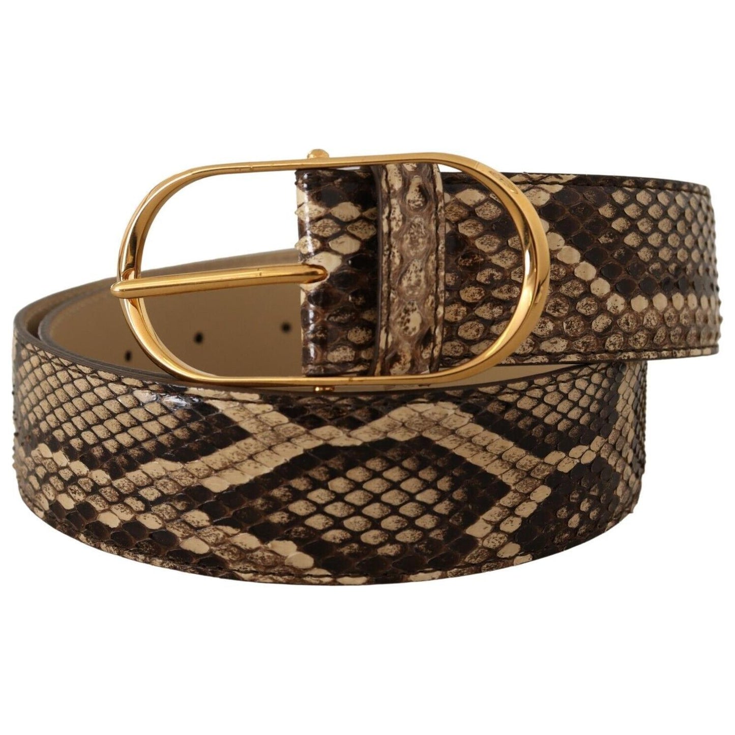 Dolce & Gabbana Elegant Phyton Leather Belt with Gold Buckle WOMAN BELTS Dolce & Gabbana