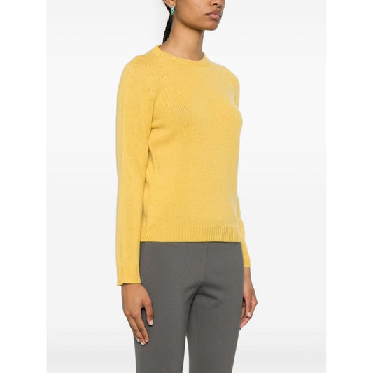 Fabiana Filippi Sweaters Yellow Topwear Fabiana Filippi