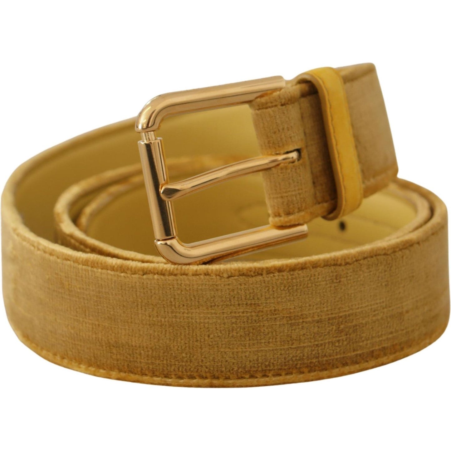 Dolce & Gabbana Elegant Velvet Designer Gold-Buckled Belt Dolce & Gabbana