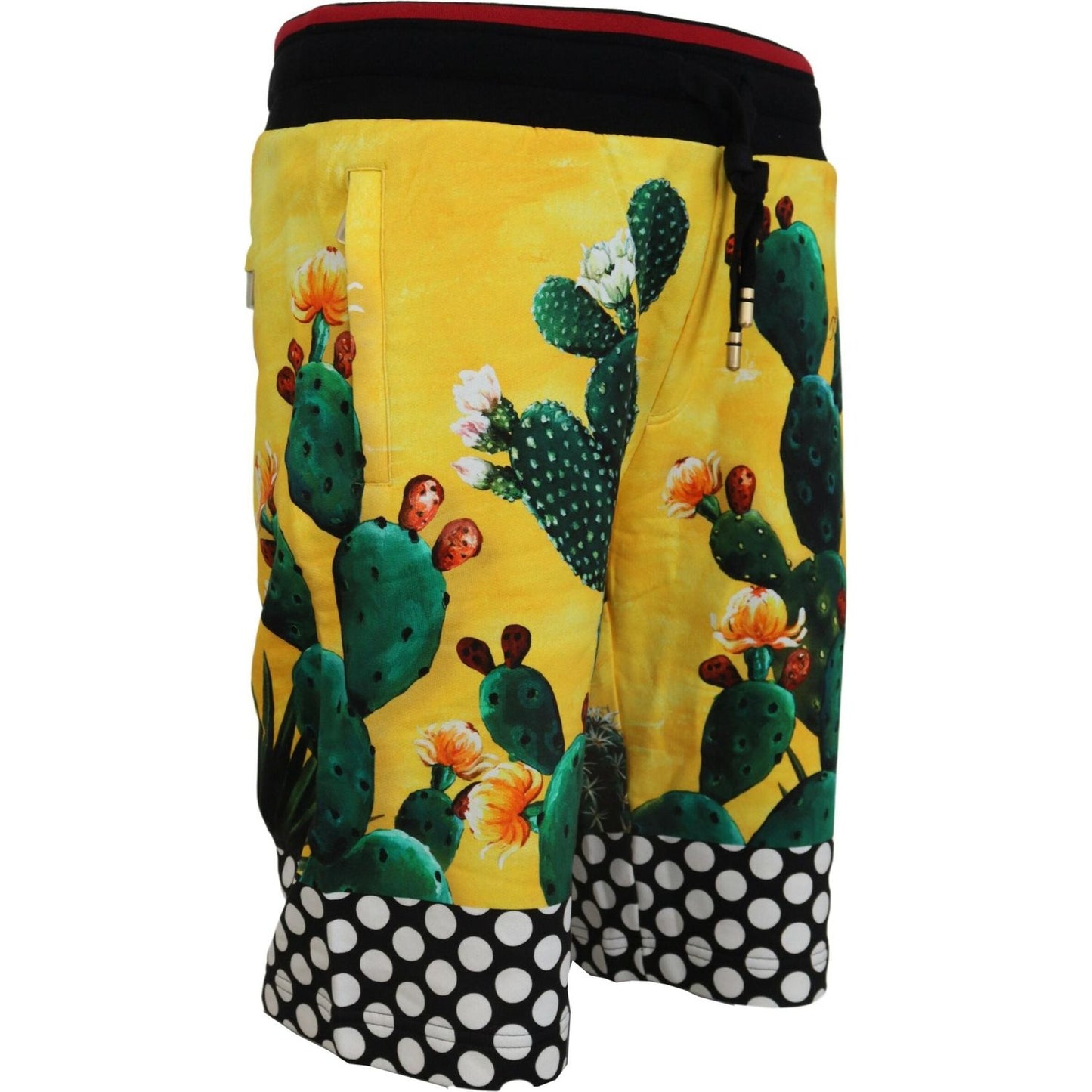 Dolce & Gabbana Multicolor Cactus Print Cotton Sweat Shorts Dolce & Gabbana