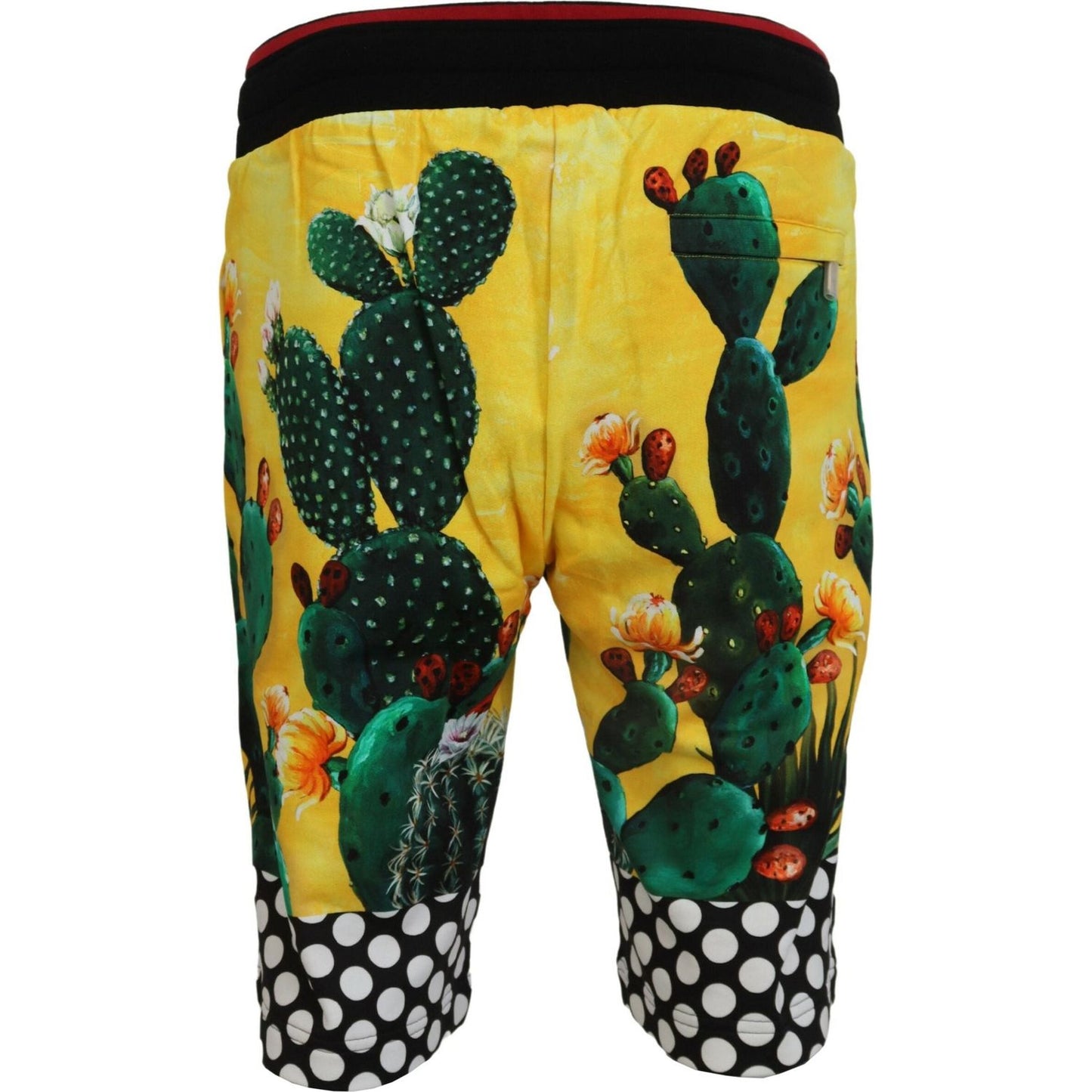 Dolce & Gabbana Multicolor Cactus Print Sweat Shorts Dolce & Gabbana