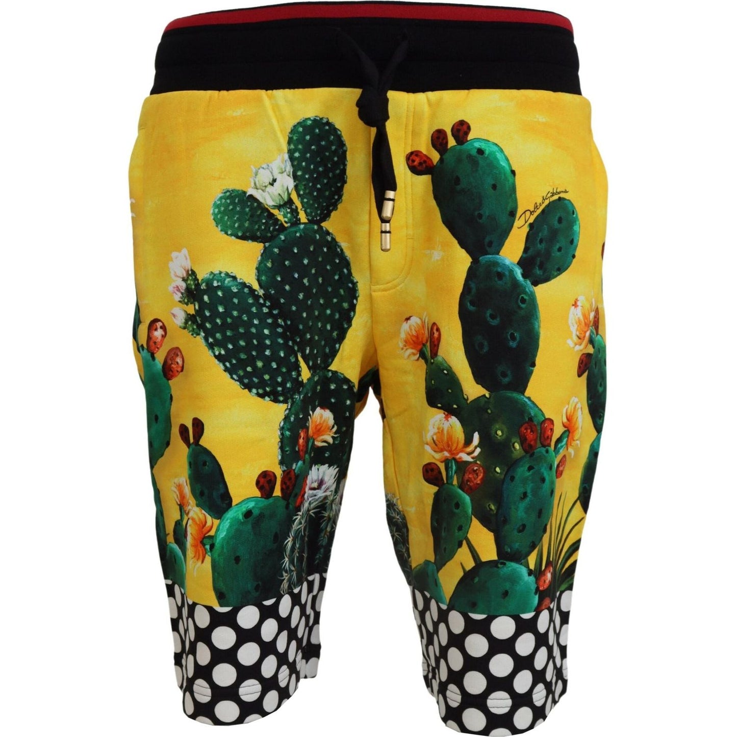 Dolce & Gabbana Multicolor Cactus Print Cotton Sweat Shorts Dolce & Gabbana