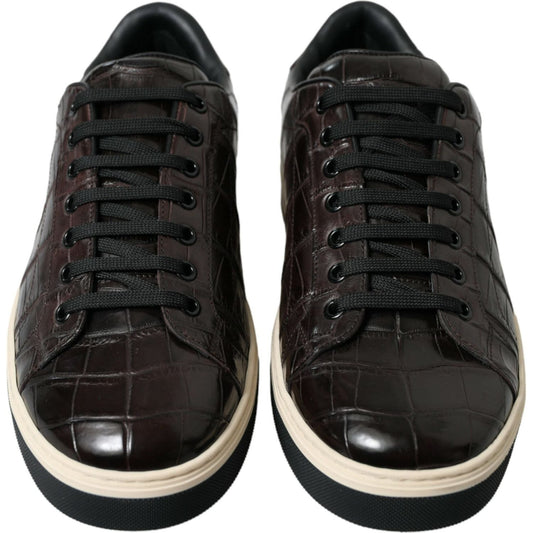 Dolce & Gabbana Elegant Exotic Leather Low-Top Sneakers Dolce & Gabbana