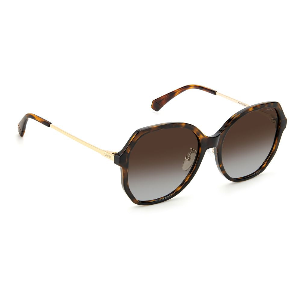 Polaroid Brown Plastic Sunglasses