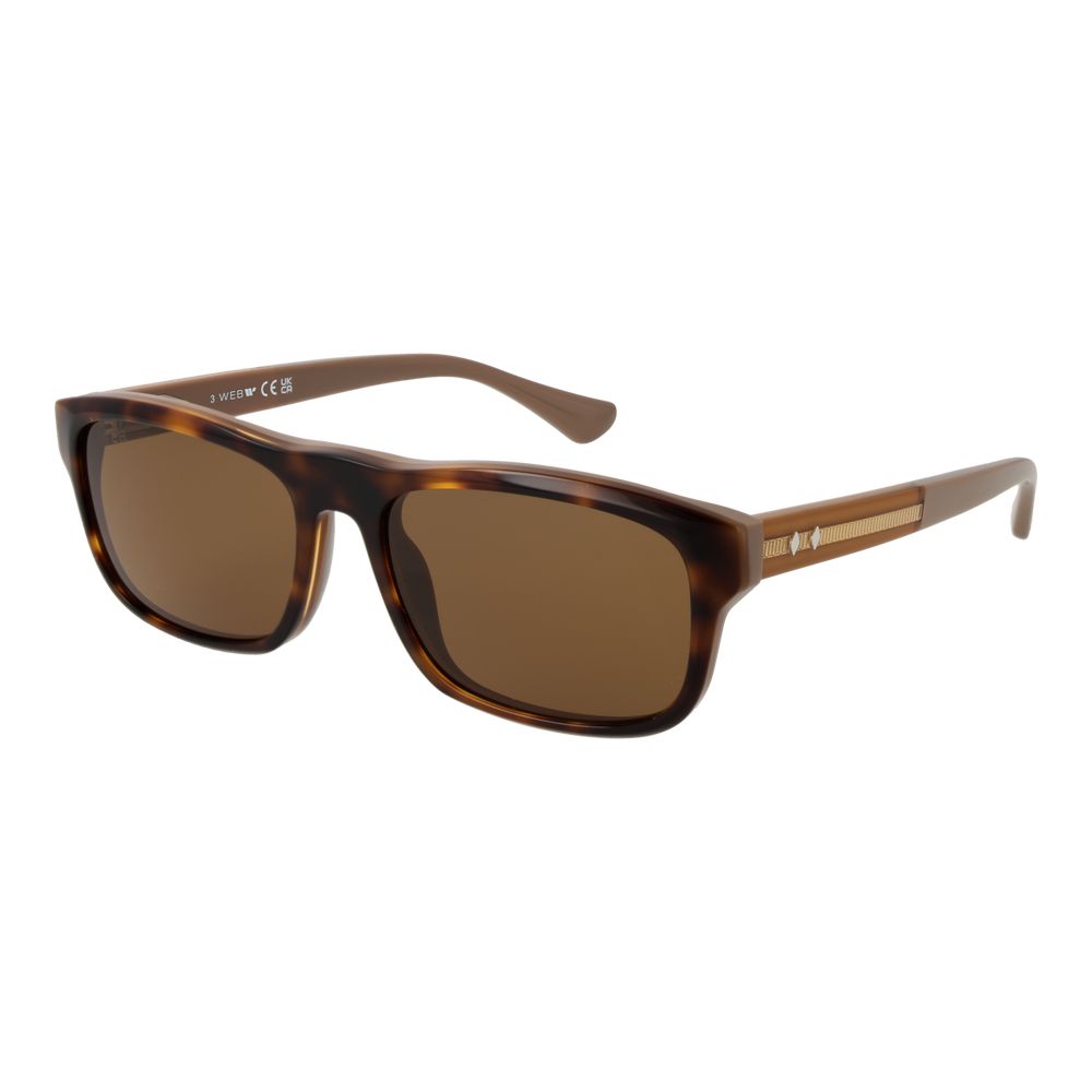 Web Brown Acetate Sunglasses Web