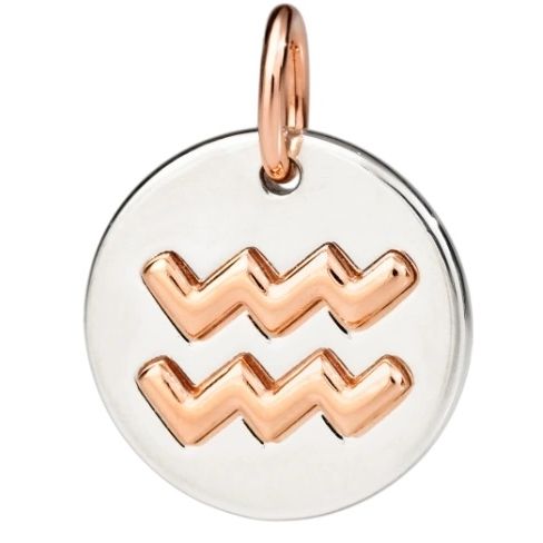 CHARMS DODO MOD. DMC2012ZODAC0009A