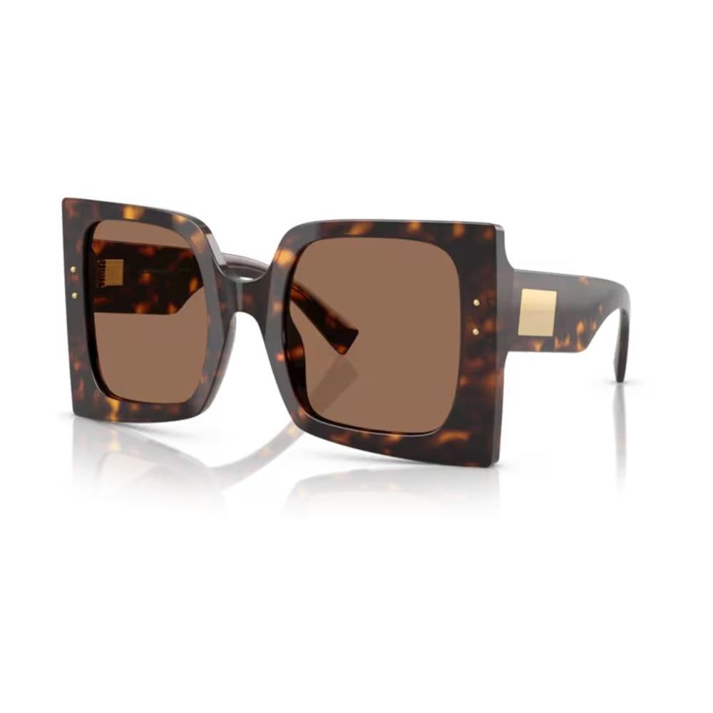 DOLCE & GABBANA MOD. DG 4490 SUNGLASSES & EYEWEAR
