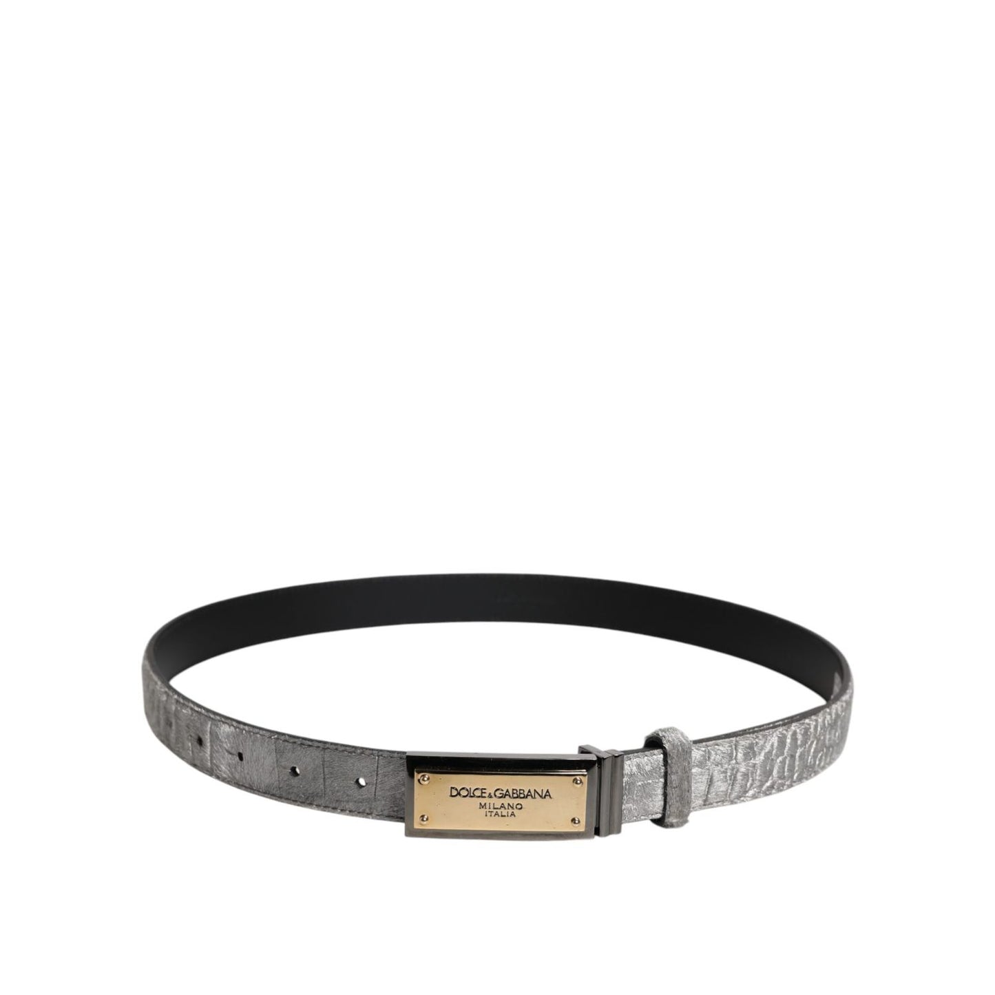 Dolce & Gabbana Silver Classic Gold Logo Plaque Buckle Belt